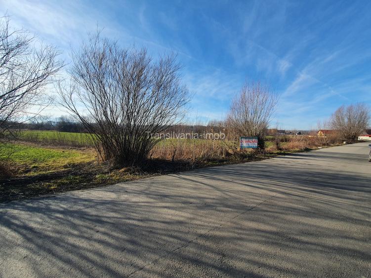 Teren de vânzare – Brașov, Lunca Câlnicului - 5