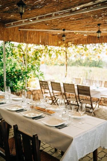 Proprietate istorică , crama +vie DOC + distilerie +loc. evenimente+ 20000 vin - 13