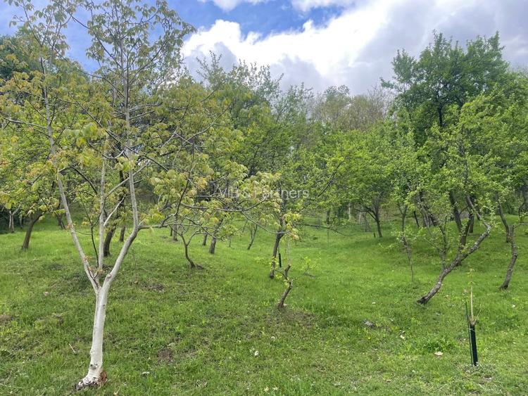 Mihaesti - Sat Draghici, teren intravilan, cu o suprafață generoasă de 7.280 mp - 2