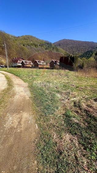 Teren Tarnița - 6