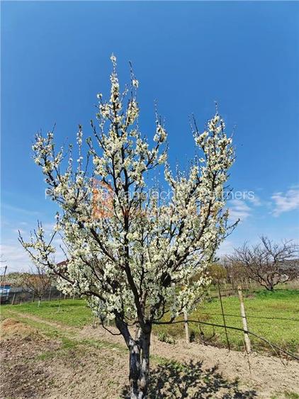 Casa tip parter zona Candesti - 15