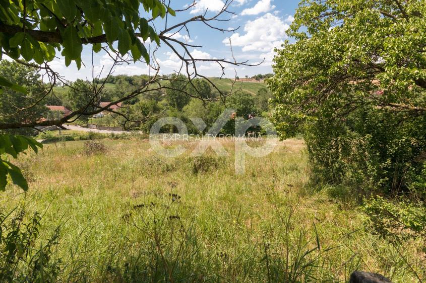 Casă în localitatea Bălaia, județul Bihor - 13