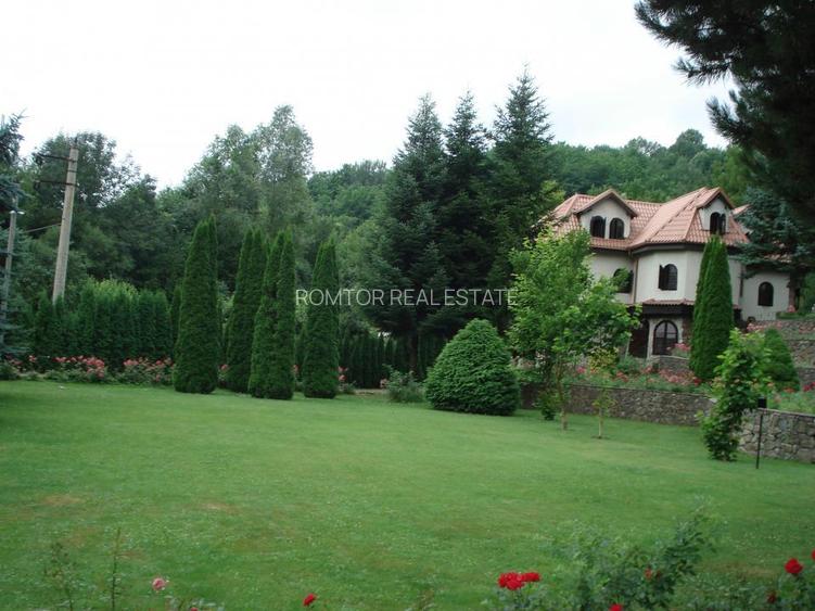 Campina Valea Doftanei Sotrile Paltinu - 2