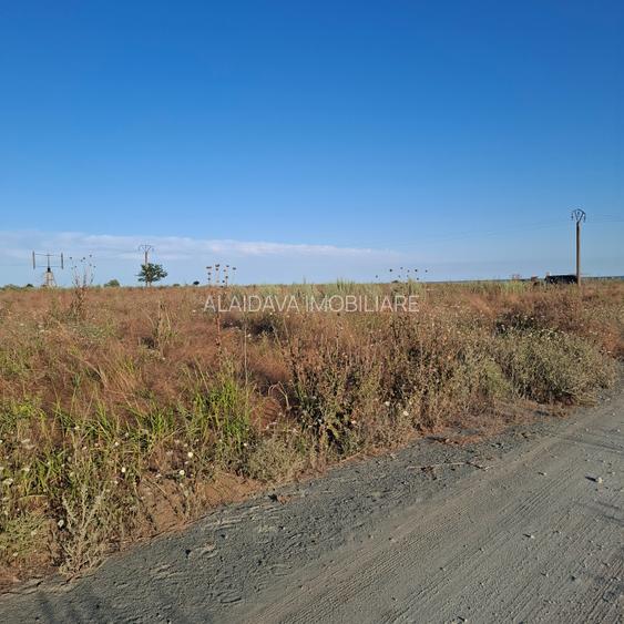 Corbu-faleza-loturi de 515mp - 2