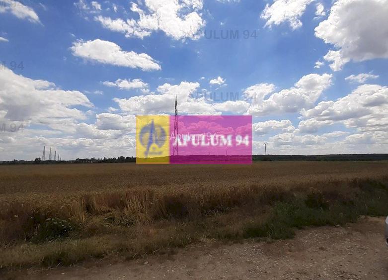 Teren 715mp în Snagov lângă Equestria - 10