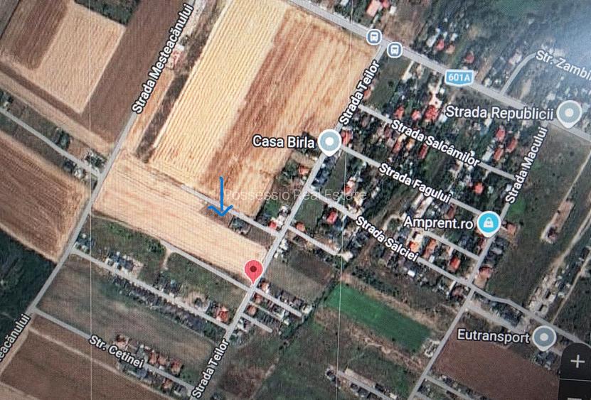 Teren intravilan 510 mp – Dragomirești Deal - Str. Teilor - Ideal pentru casă - 4