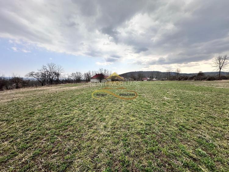 Teren de vanzare Blagesti Bacau - 9