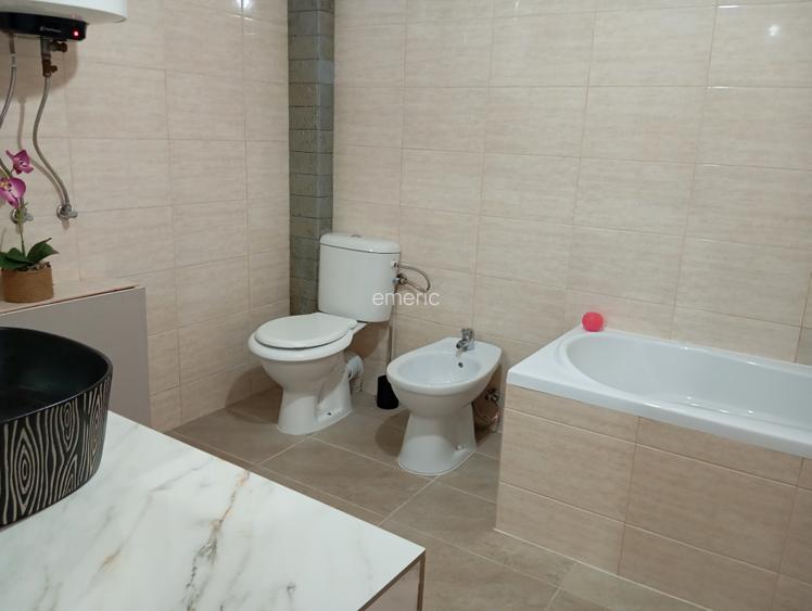 Casă P+M cu teren 744 mp în Dumbrava (Timiș) – Zonă excelentă, vizavi de facilit - 6