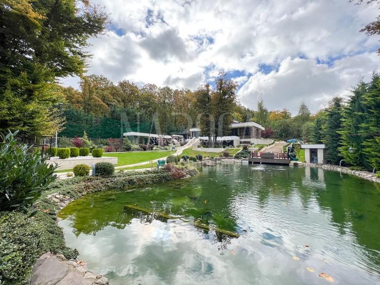 Casa 6 camere de vanzare in Faget, Cluj Napoca - 28