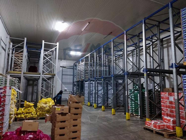 Depozit frigorific  hala ideal legume, fructe, flori - 14