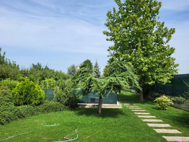 Dimineți pe ponton, seri la piscină – viața la Snagov - 12