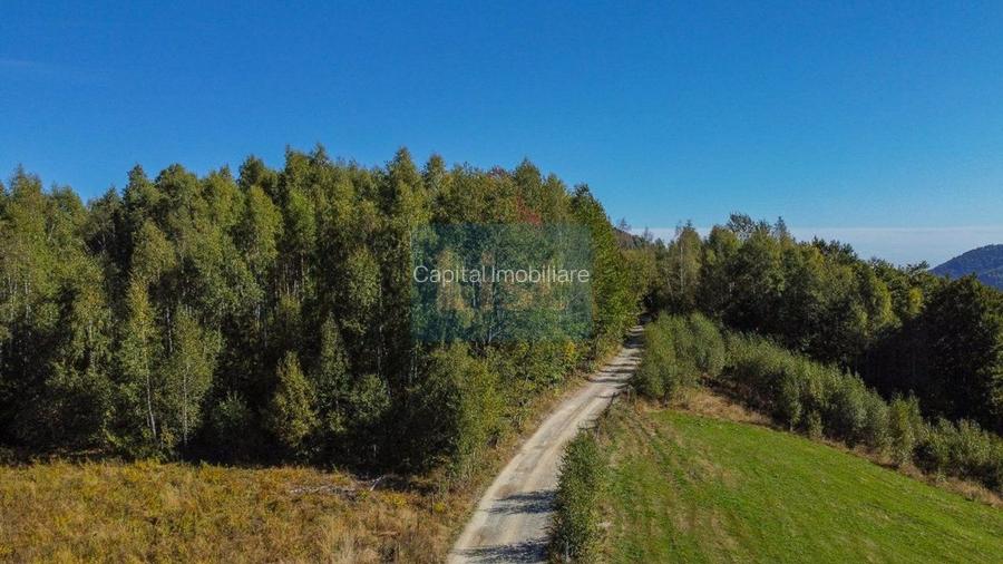 Comision 0% teren intravilan 1000 mp, PUZ, priveliste, Baisoara - 3