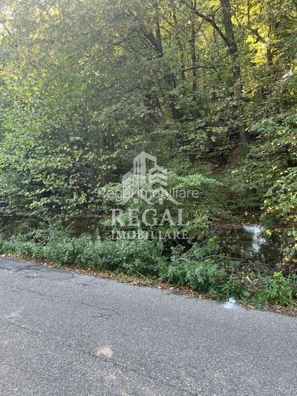 Teren extravilan de vânzare – Lacul Cinciș - 7