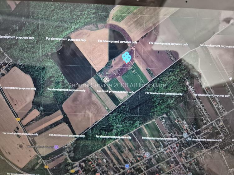 Clinceni-Ordoreanu-padure loturi  733mp - 2