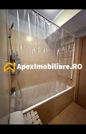 Garsoniera de inchiriat Vitan-Barzesti București | ApexImobiliare.ro - 9