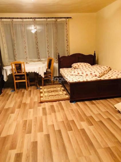 Cabana de închiriat/vanzare  - 9
