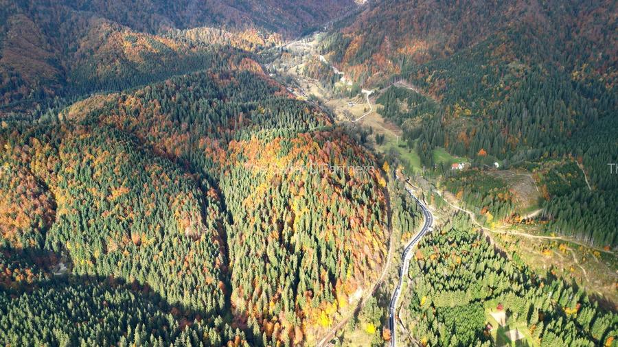 Poiana lui Manole - teren Intravilan - 32