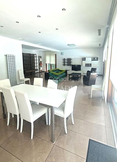 Iancu Nicolae, vila de inchiriat, 5 camere - 4