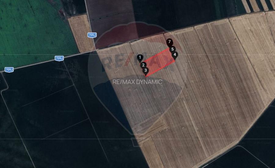 Teren extravilan 46,300mp Curtici - 3