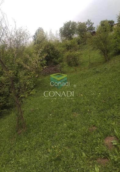 Teren Breaza  800mp pe colina priveliste superba - 12