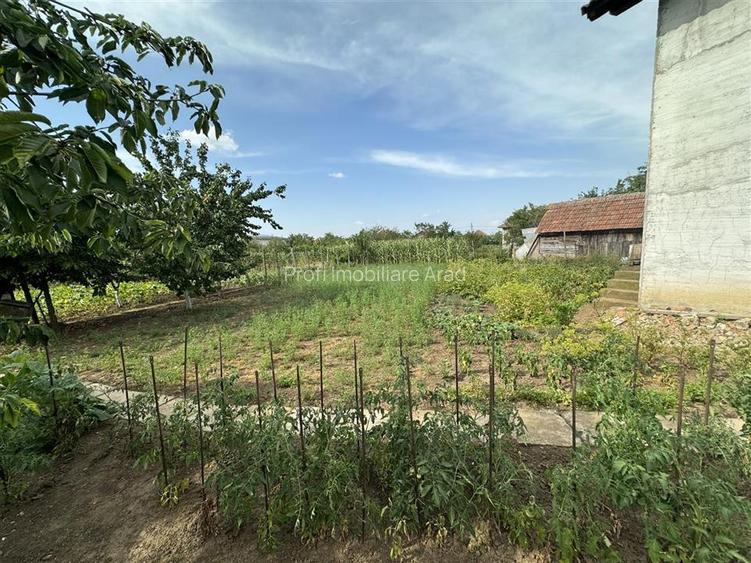 Casa noua cu 6 camere in SAGU la principala - 8