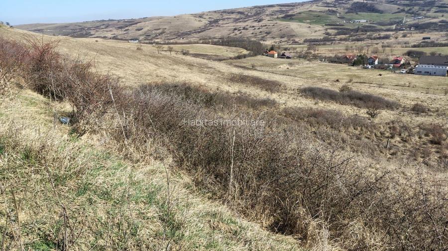 Oferta! Teren intrav., 1253 mp, frt: 41 m, in Borhanci, PUZ in lucru! - 9