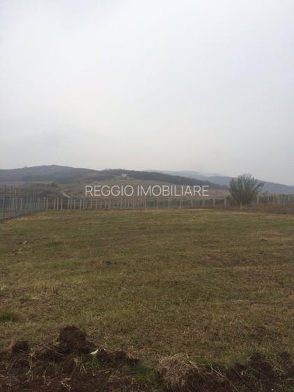 Teren Construcții intravilan de 15500 mp, în Cetate - 2