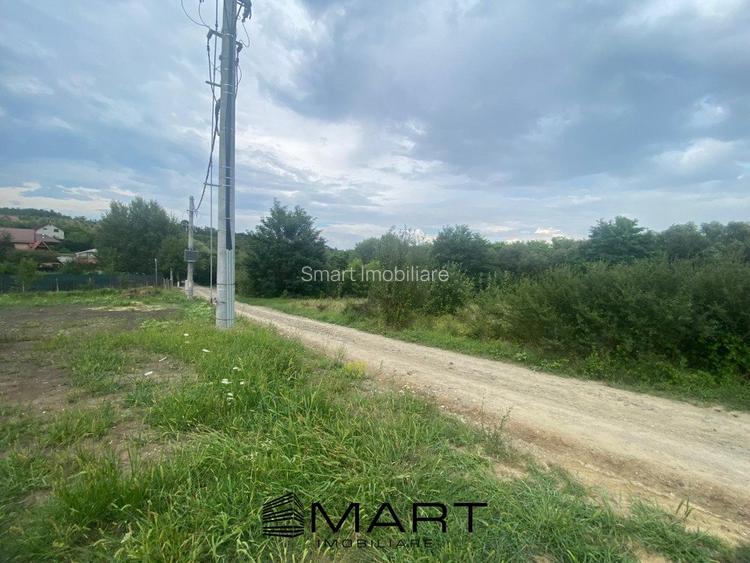 Teren 8000mp Daia noua - 3