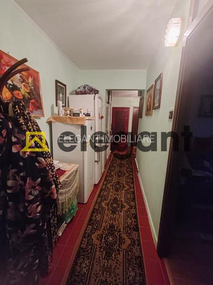 3 decomandate, etaj 3, centrala, bloc izolat, Rovine-Bacriz - 10