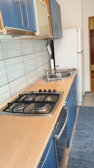 Garsoniera Prosper 13 Septembrie Sebastian S40mp mobilata amenajata modern - 9