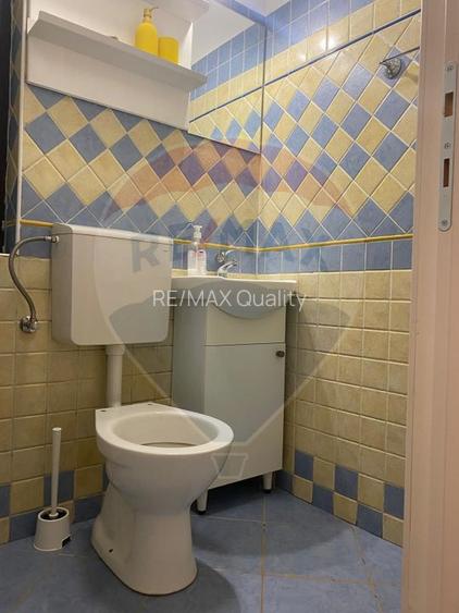 Vila de închiriat–Calea Moșilor /133 mp utili+60 Curte proprie - 16