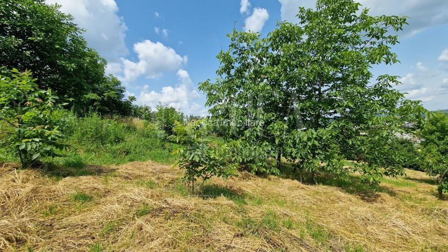 Teren intravilan pentru constructii de vanzare in Zorilor, Cluj Napoca - 6