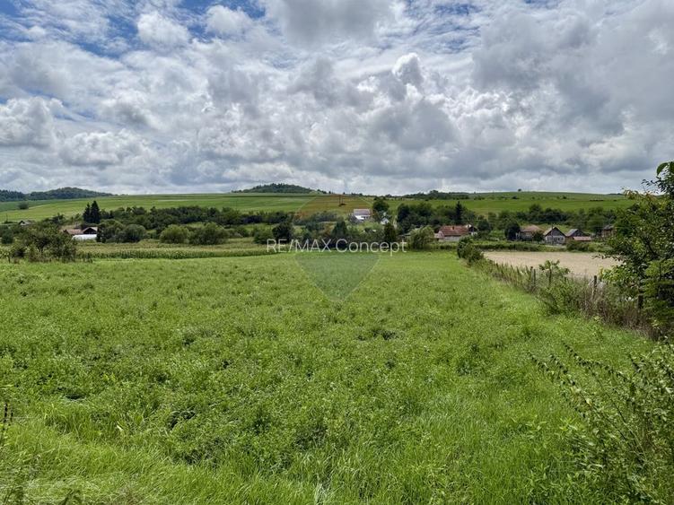 Teren 3200 mp I intravilan I Certificat Urbanism I Aschileu Mic - 5