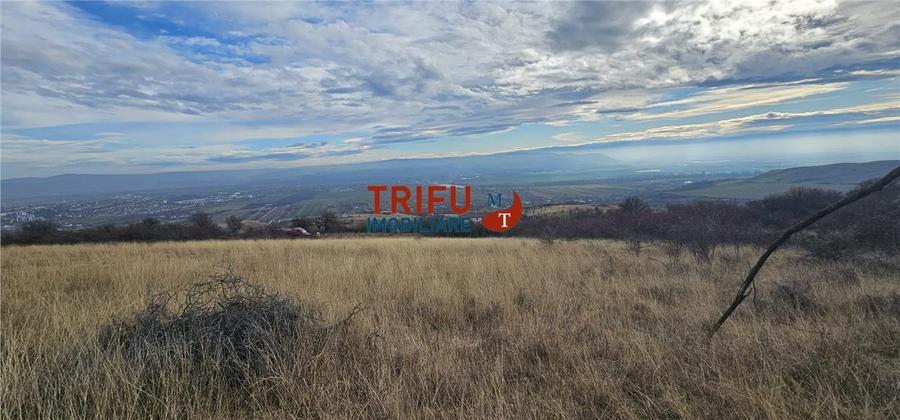Teren extravilan în zona Pâclișa