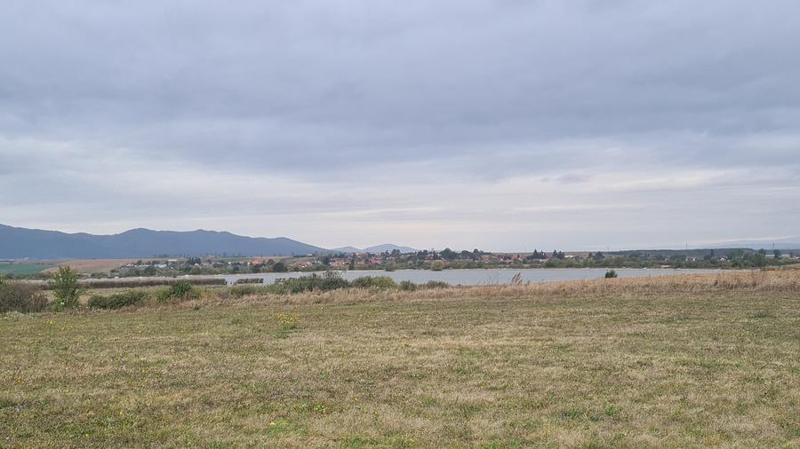 Oază de Natură și Potențial: Teren de 48.100 mp lângă Delta din Carpați