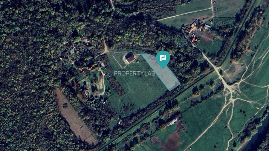 Teren intravilan, 1.700 mp, pădure Giroc - 5