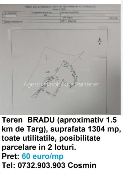 Terenuri Bradu, diverse suprafete - 4