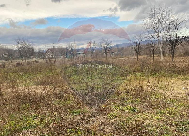 Comision 0! Casa din inima Subcarpaților — comuna Cislau, teren 5000mp - 15