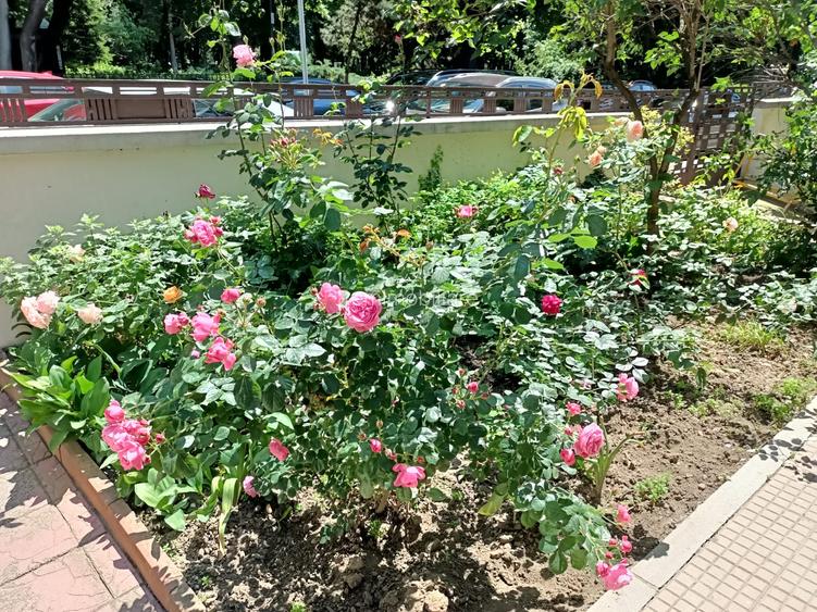 Apartament 5 camere cu vedere catre  Parcul Kiseleff - 5