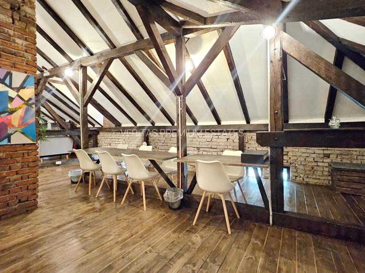 Vila  cu prestanta de inchiriat Cismigiu Calea Victoriei, curte generoasa - 18