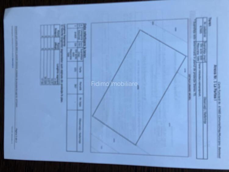 Teren intravilan 600mp-Ion Lahovari Balotesti - 1