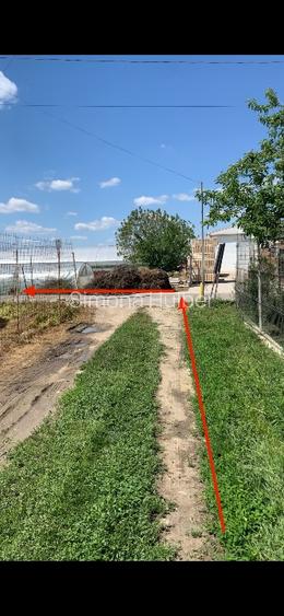 Teren intravilan de vanzare Copaceni Ilfov pentru dezvoltare rezidentiala - 7