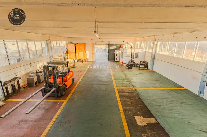 Hala industriala de vânzare – Bod, Brasov - 5