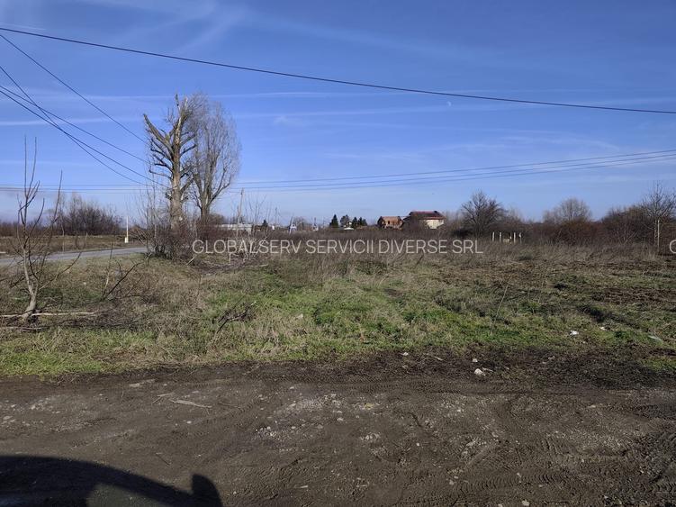 FARA COMISIOANE teren constructii la drum asfaltat 1106 mp merita vazut - 3