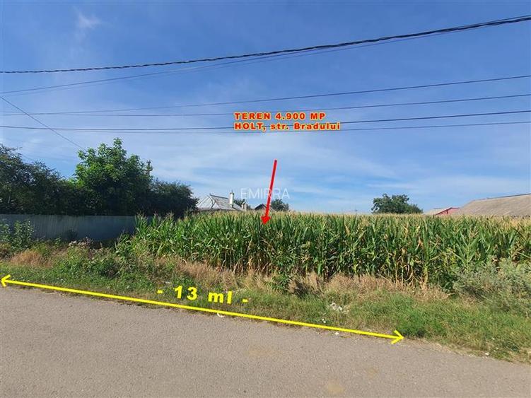 Teren 4900 mp de vanzare in sat Holt, Letea Veche, Bacau - 2