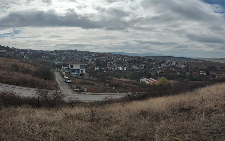 Teren intravilan 479mp in Dezmir - 6