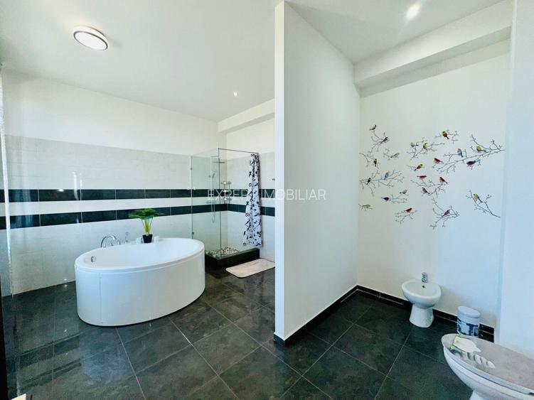 Aleea Privighetorilor- Penthouse 833 mp utili mobilat complet 3600 Euro + TVA - 18