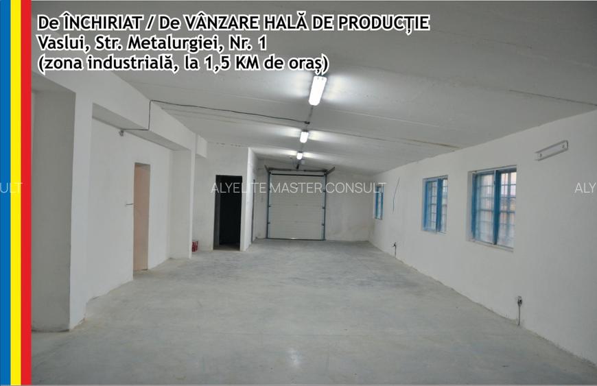 Hala de inchiriat - 3