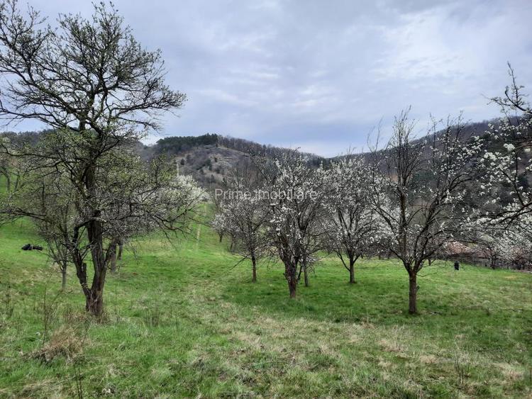 TEREN INTRAVILAN 13700 MP, INURI, VINTU DE JOS - 2