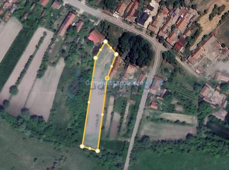 Teren intravilan de vanzare in Niuved, loc Tamaseu, Bihor - 2